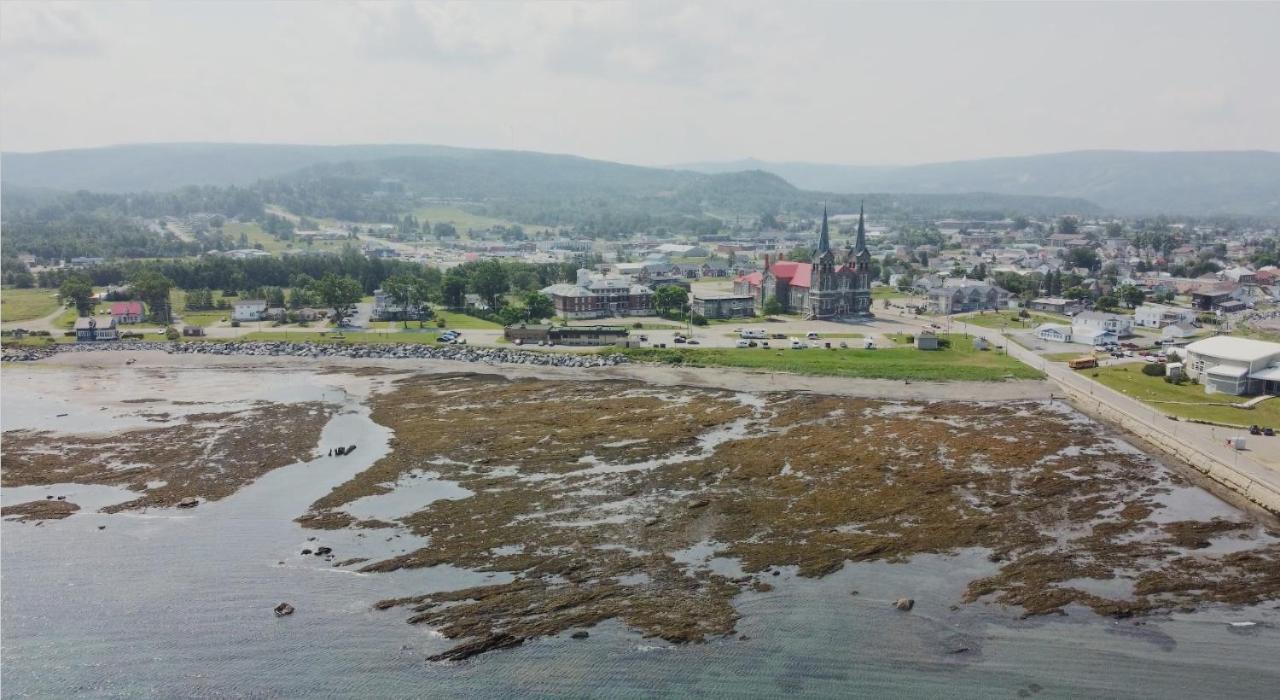 Le Couvent Leilighet Sainte Anne-des-Chênes Eksteriør bilde